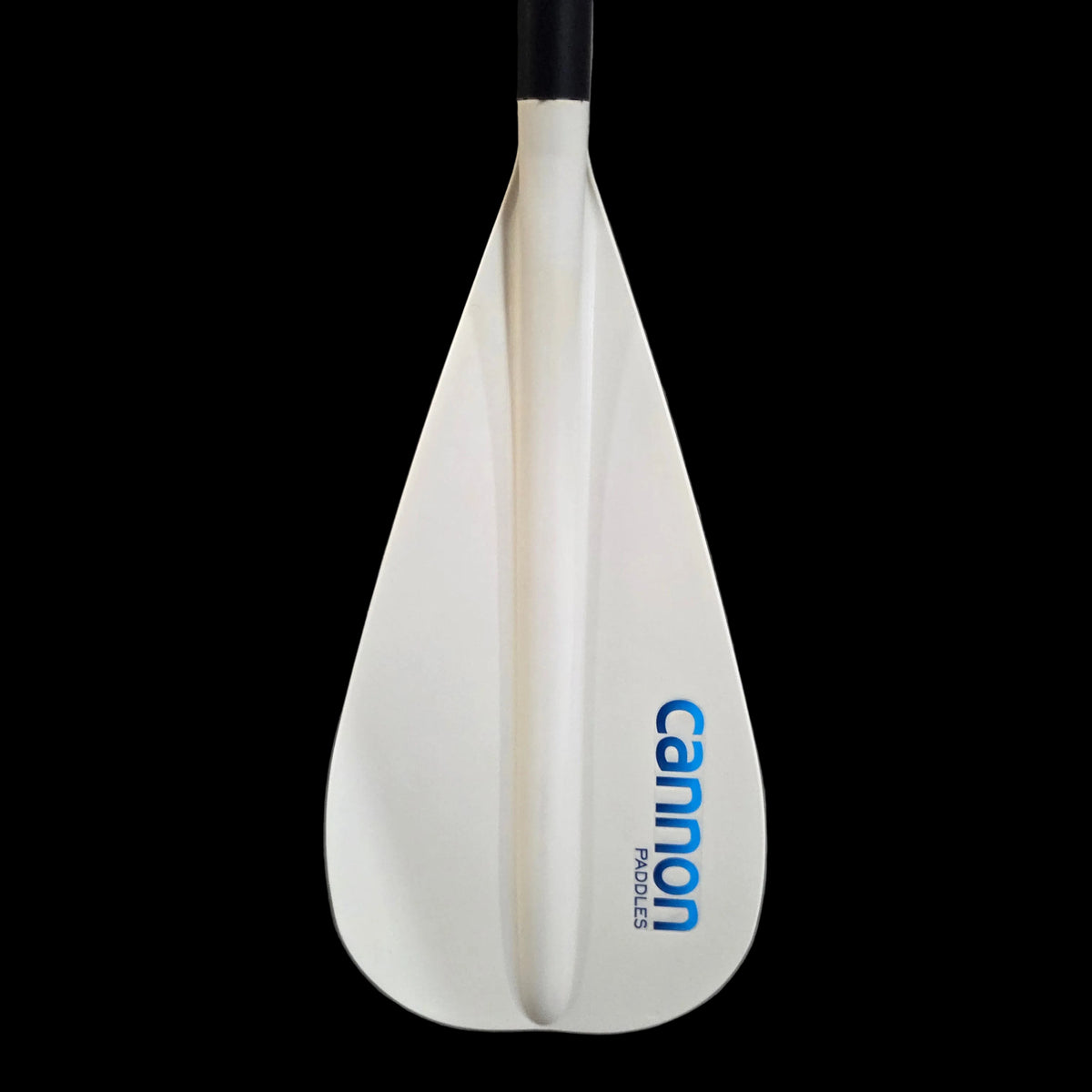 Boost Canoe Paddle